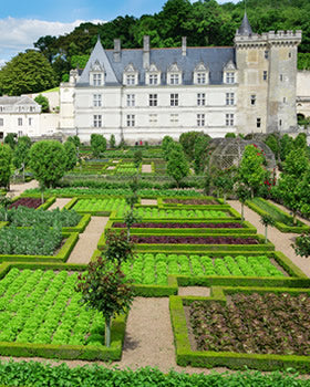 Two Loire Castles Plus Vouvray Tastings