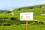 Load image into Gallery viewer, A sign over the vineyards in Burgundy, France.
