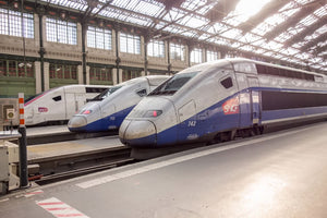 TGV trains waiting in Paris en route to Dijon, France.