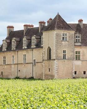 Two Nights In Burgundy tour from Paris