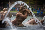 Load image into Gallery viewer, Close-up of the grand fountain at Versailles.
