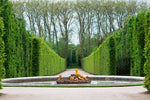 Load image into Gallery viewer, Perfectly trimmed hedges in the garden at the Palace of Versailles.
