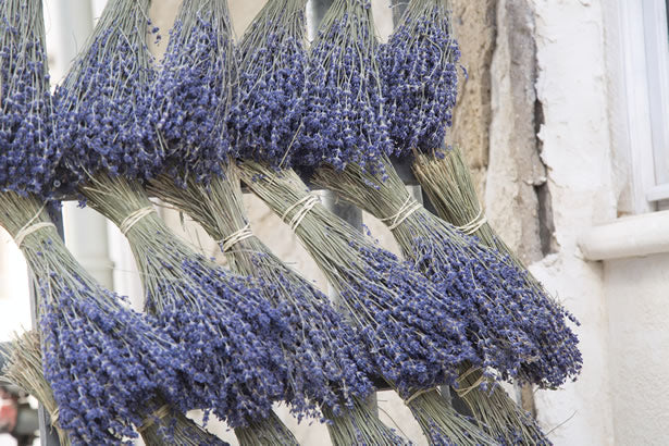 Bunches of lavender at a market in Provence, France.