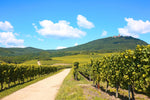 Load image into Gallery viewer, Alsace Wine Tour from Paris
