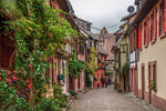 Load image into Gallery viewer, Alsace Wine Tour from Paris
