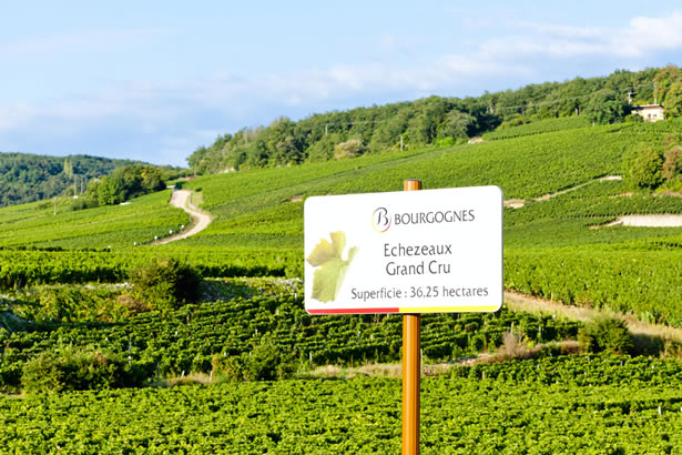 A sign over the vineyards in Burgundy, France.