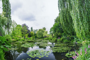 The lily pad pond near Monet's house in Giverny.