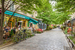 Load image into Gallery viewer, A quaint tree lined street in the Marais district of Paris.
