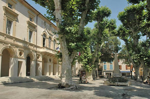 A town square in charming Saint-Rémy-de-Provence, France.
